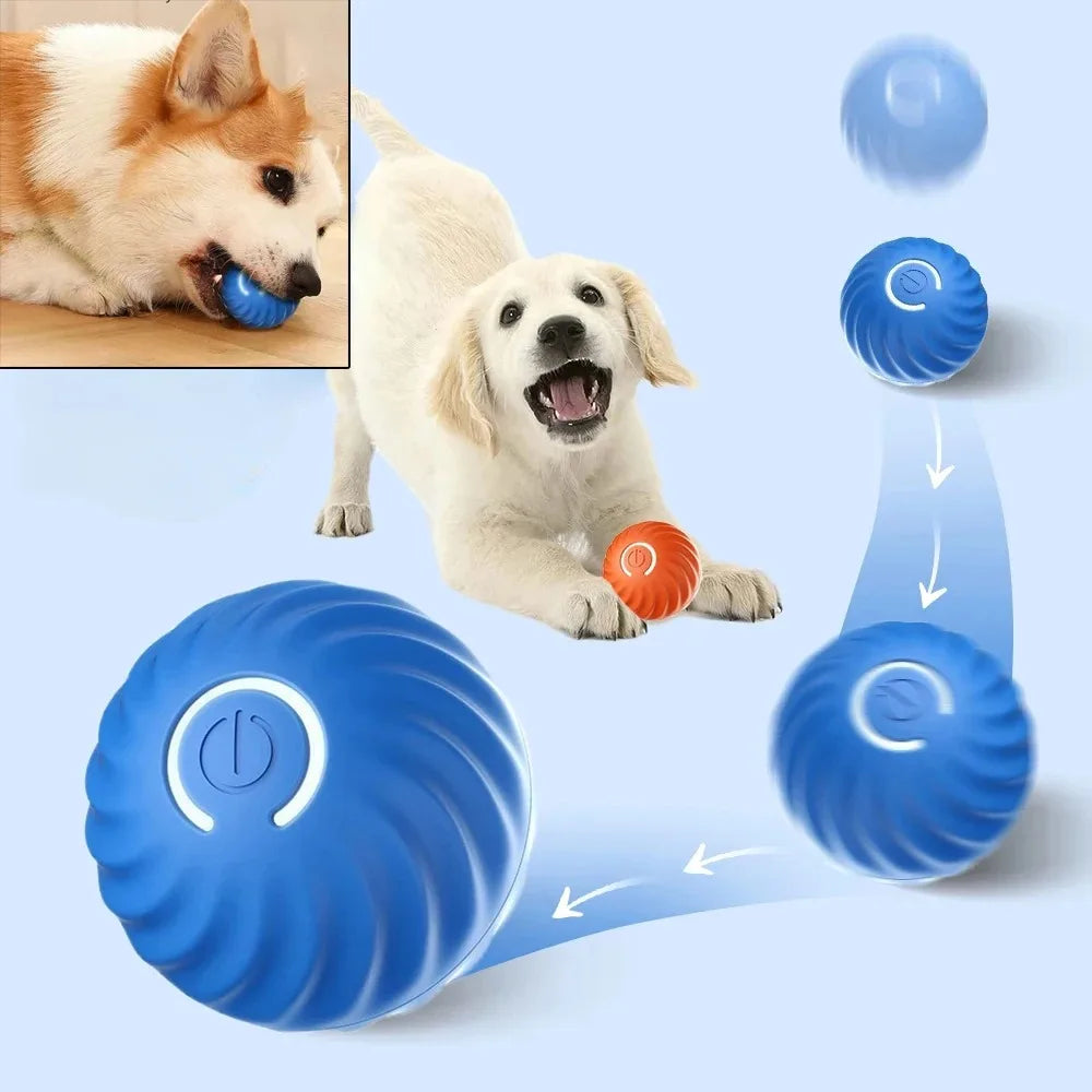Go Fetch! Puppy Ball