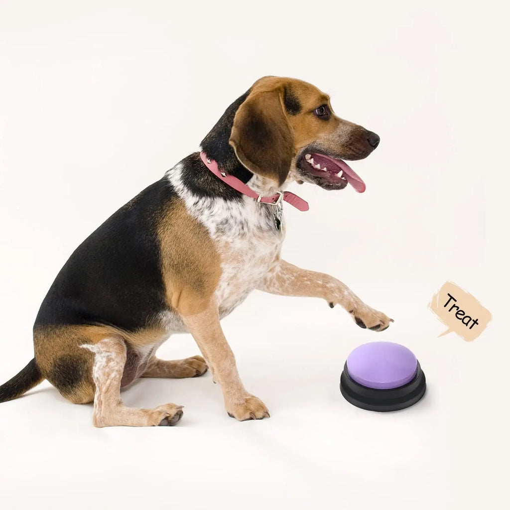 PawTalk – Teach Your Pet to Speak!
