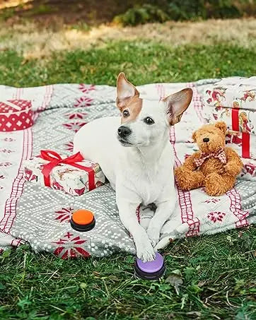 PawTalk – Teach Your Pet to Speak!